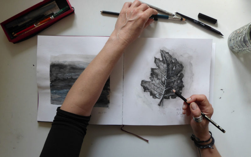 Zeichenkurs Berlin, Monika Milczewski, Zeichnen